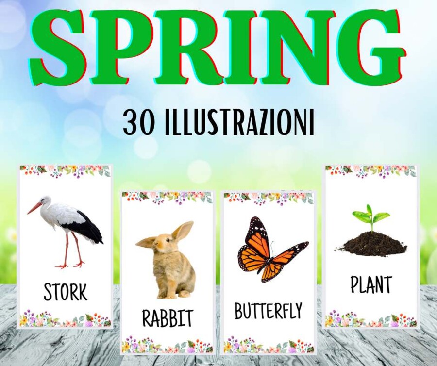 Set primaverile di 30 illustrazioni per imparare l'inglese