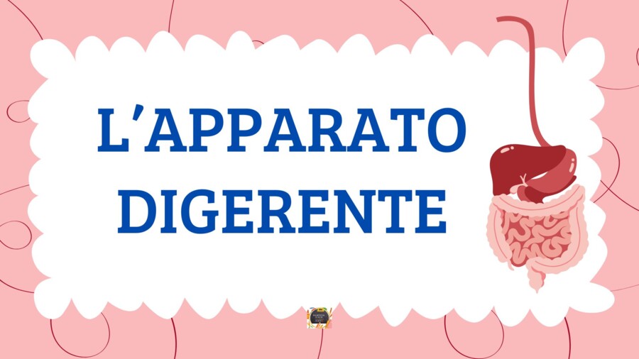 L'APPARATO DIGERENTE - QUADERNO DI SCIENZE CL. 5^ -