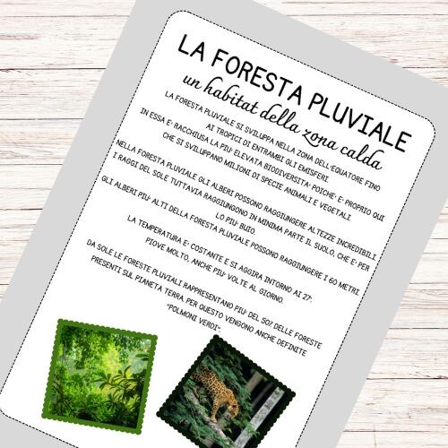 Schede didattiche sulla foresta pluviale