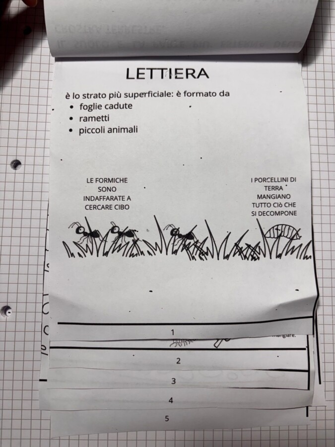 Gli strati del suolo