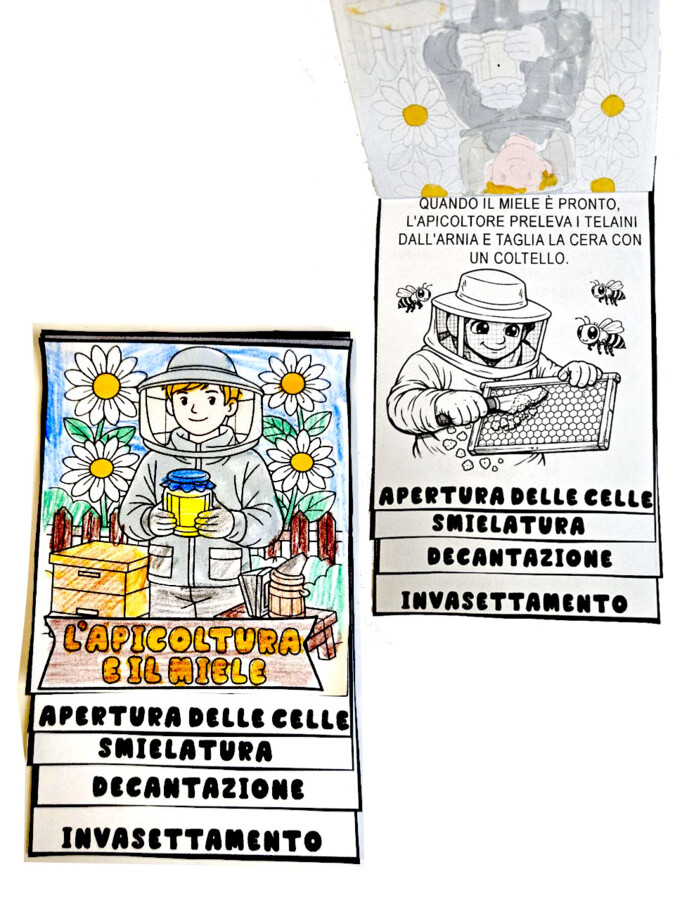 🌼🐝 Alla Scoperta delle Api - Lapbook