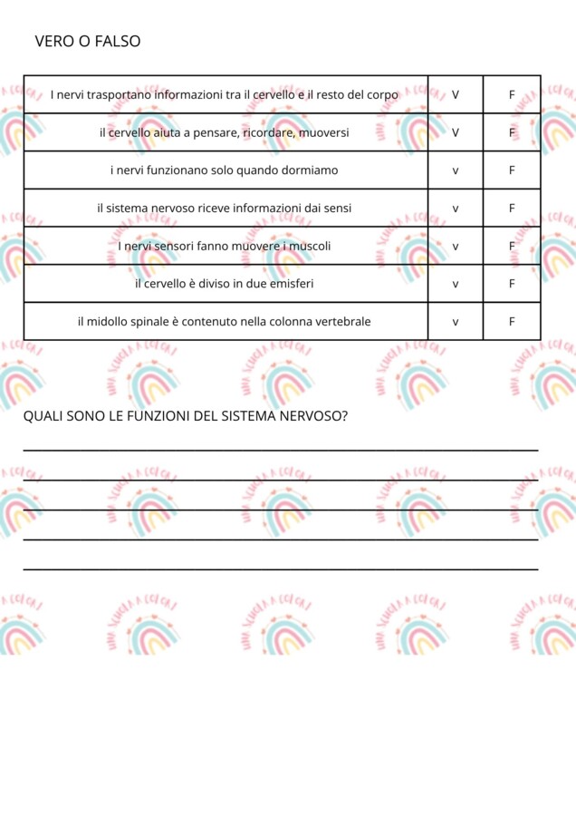 Prova di verifica sul sistema nervoso classe quinta primaria