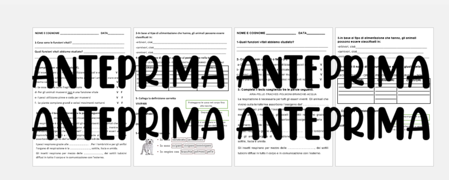 Verifica standard e verifica semplificata sulle funzioni vitali (scienze classe terza o quarta)