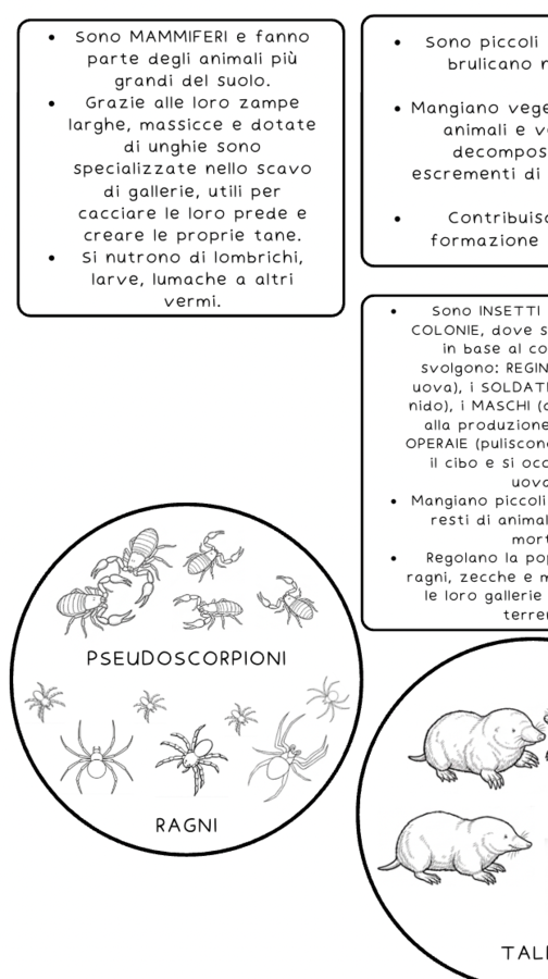 Gli esseri viventi del suolo