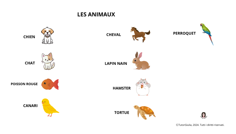FRANCESE: GLI ANIMALI - LES ANIMAUX