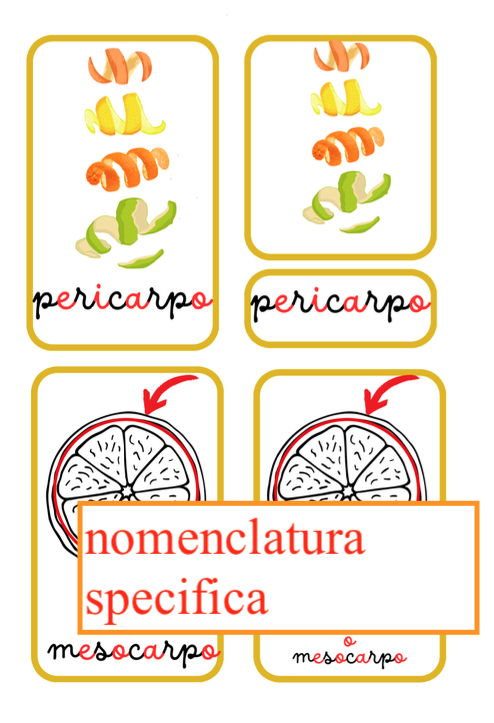 Nomenclatura degli agrumi