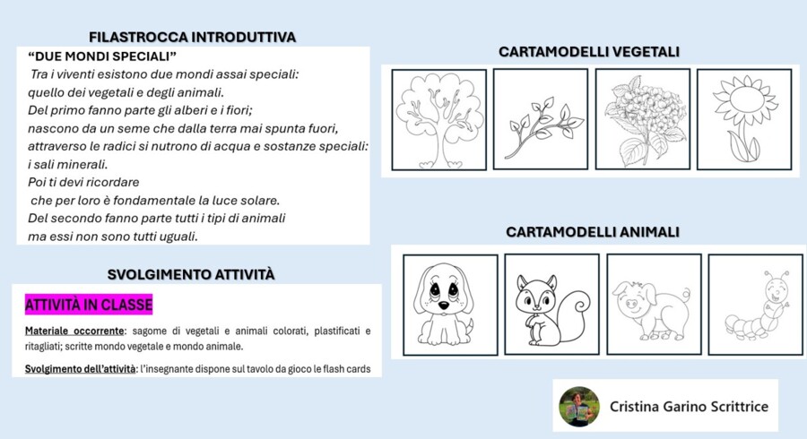 DUE MONDI SPECIALI: GLI ANIMALI E I VEGETALI
