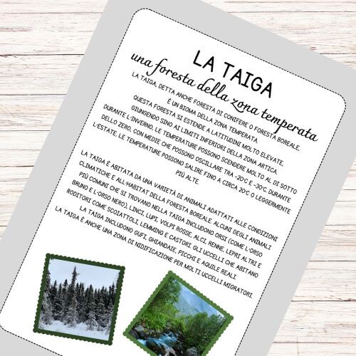 Schede didattiche sulla Taiga
