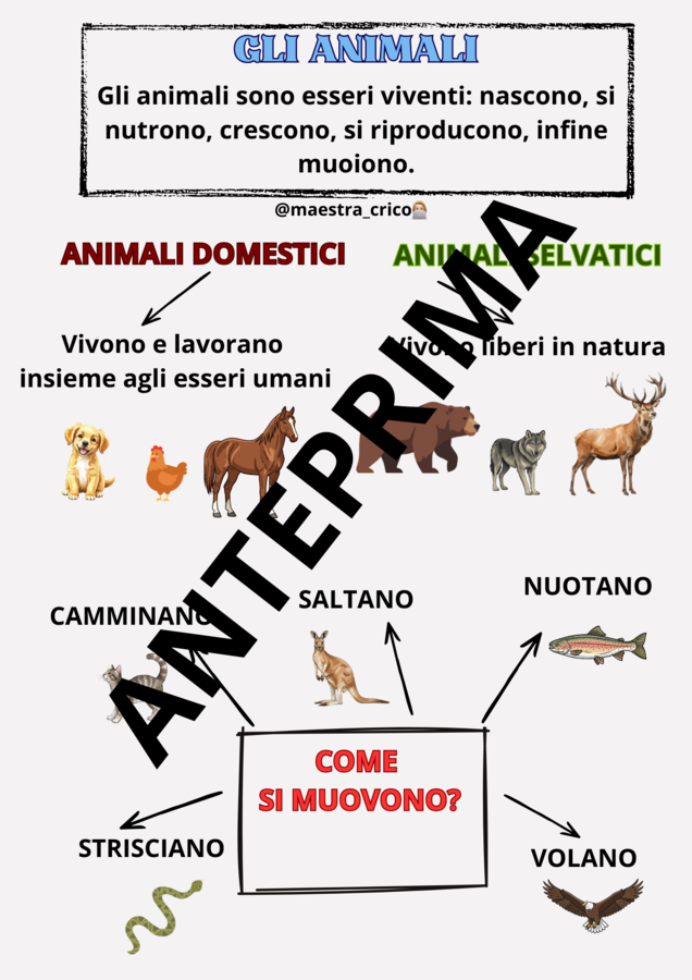 PERCORSO SUGLI ANIMALI