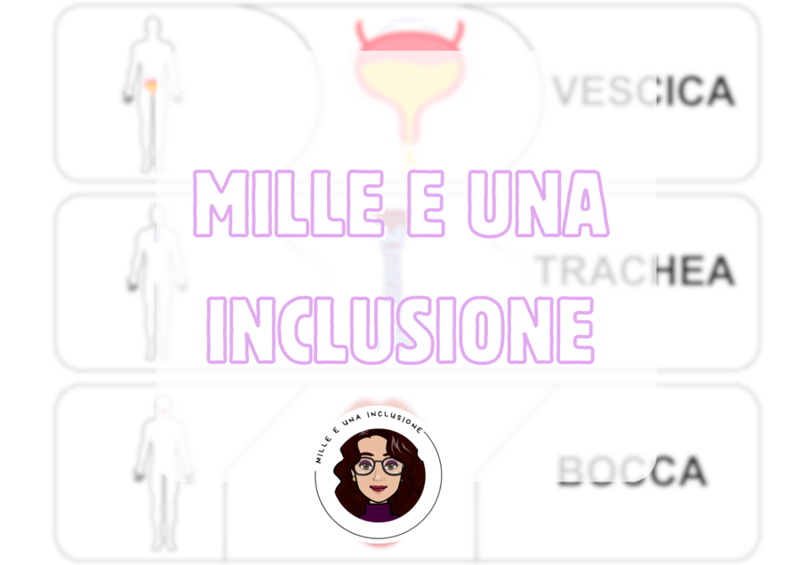 KIT DIDATTICO DEL CORPO UMANO