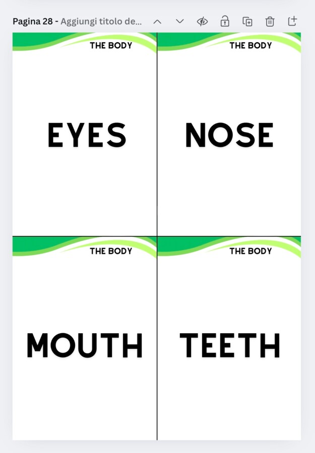 Flashcards