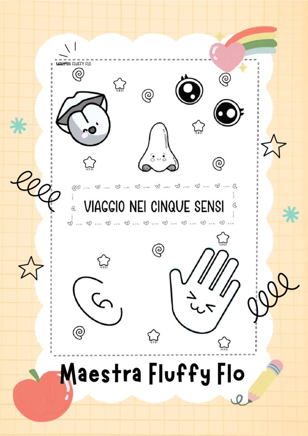 Percorso sui cinque sensi - classe prima scuola primaria