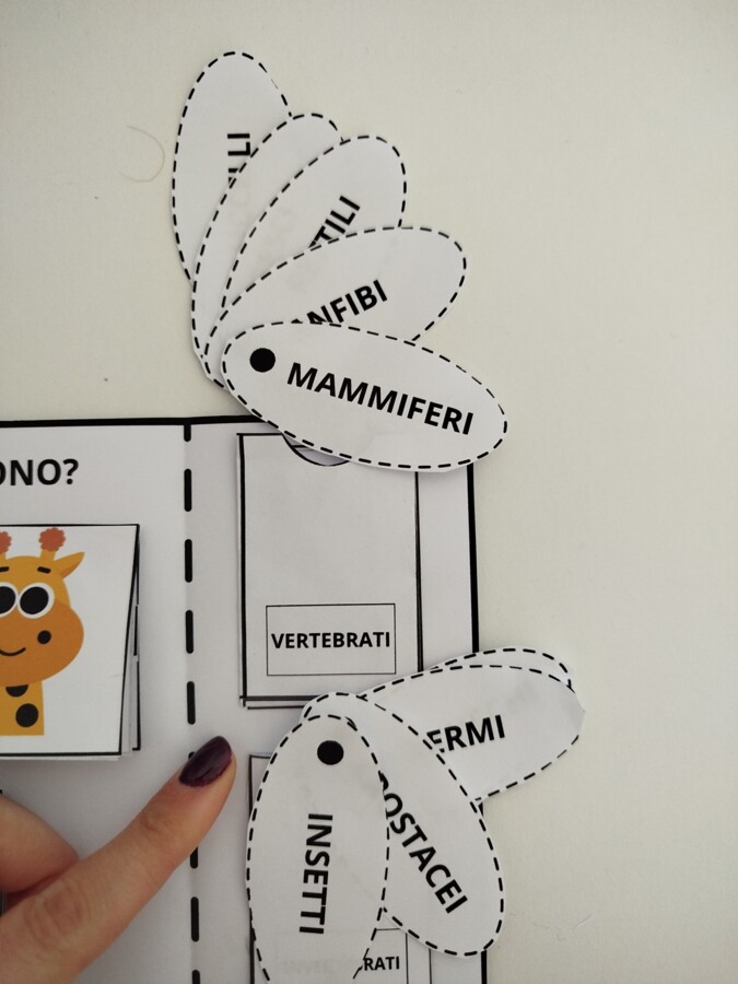 LAPBOOK SUGLI ANIMALI