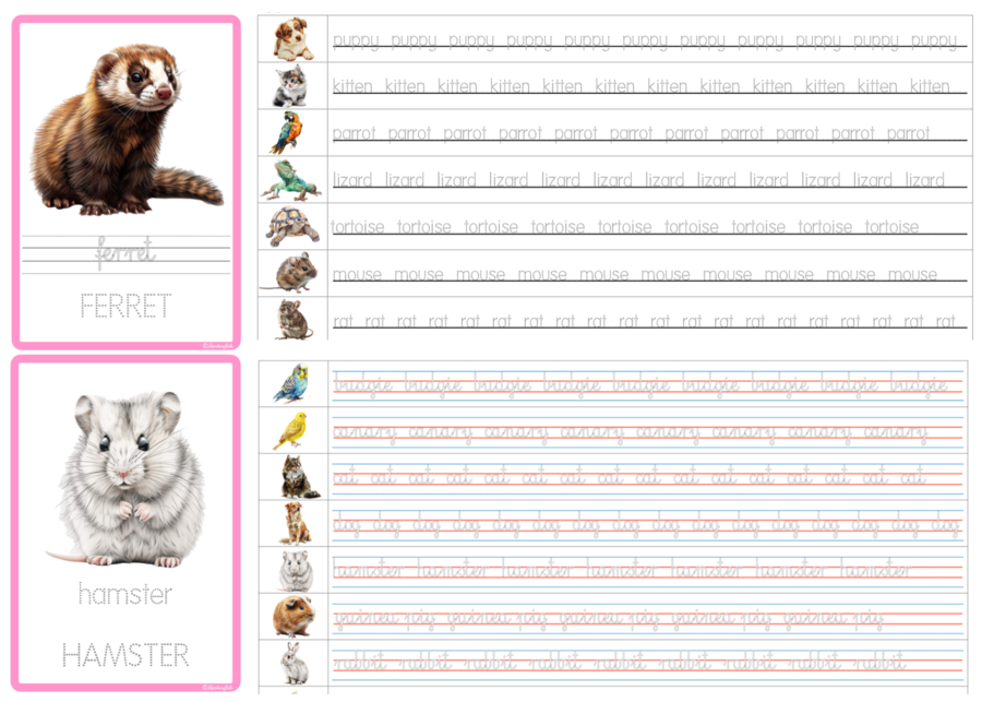 Tracing Activity: Pets