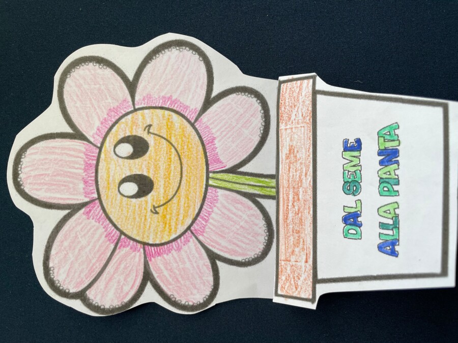 Dal seme alla pianta - lapbook