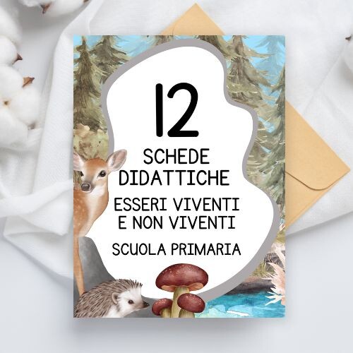 Schede didattiche esseri viventi e non viventi