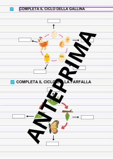 QUADERNO DI SCIENZE - CL.3