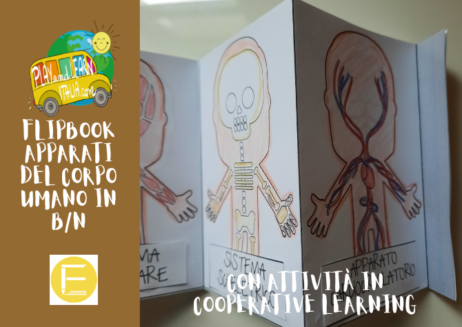 FLIPBOOK: GLI APPARATI DEL CORPO UMANO