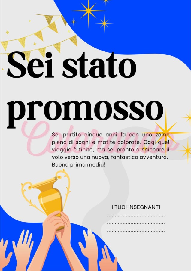 10 DIPLOMI DI PROMOZIONE DALLA QUINTA ELEMENTARE ALLA PRIMA MEDIA