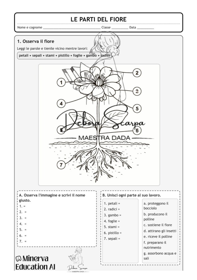 Le parti del fiore