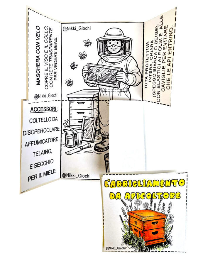 🌼🐝 Alla Scoperta delle Api - Lapbook
