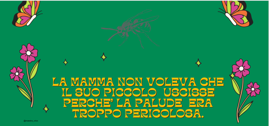 Il moscerino curioso