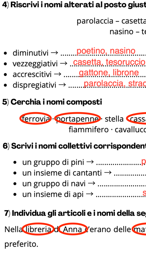 Verifica grammatica - nome e articolo