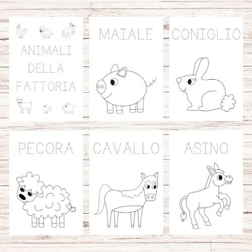 Schede didattiche sulla fattoria scuola dell'infanzia