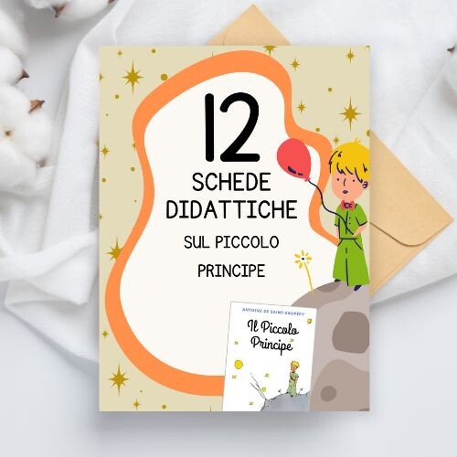 Schede didattiche Piccolo Principe