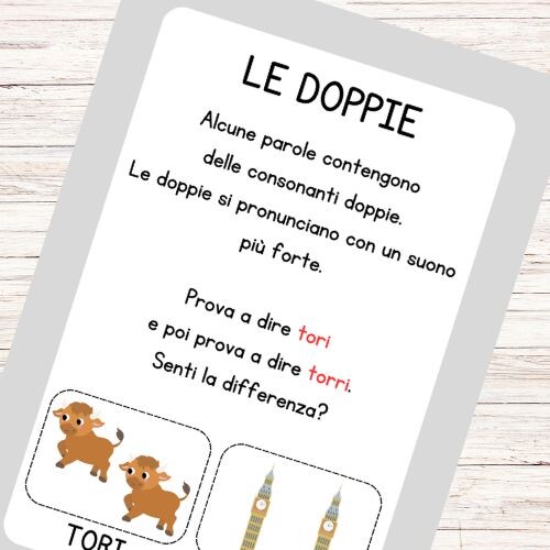 Schede didattiche doppie