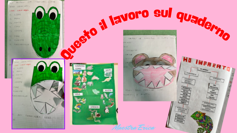 KIT COMPLETO Scienze: Gli Animali - Classe 2ª Scuola Primaria (Obiettivi, Schede, Verifiche, Attività e Giochi)