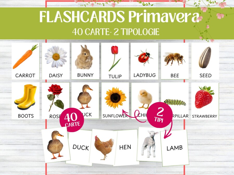 Flashcards Primavera in Inglese – Carte Immagine-Parola, Gioco di Abbinamento e Vocabolario, Infanzia e Scuola Primaria - Montessori - Impara l'inglese giocando - Bellissime carte primaverili per imparare o ripassare parole in inglese