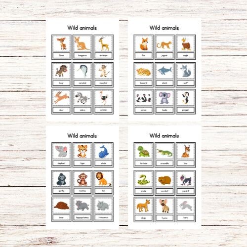 Wild animals flashcards