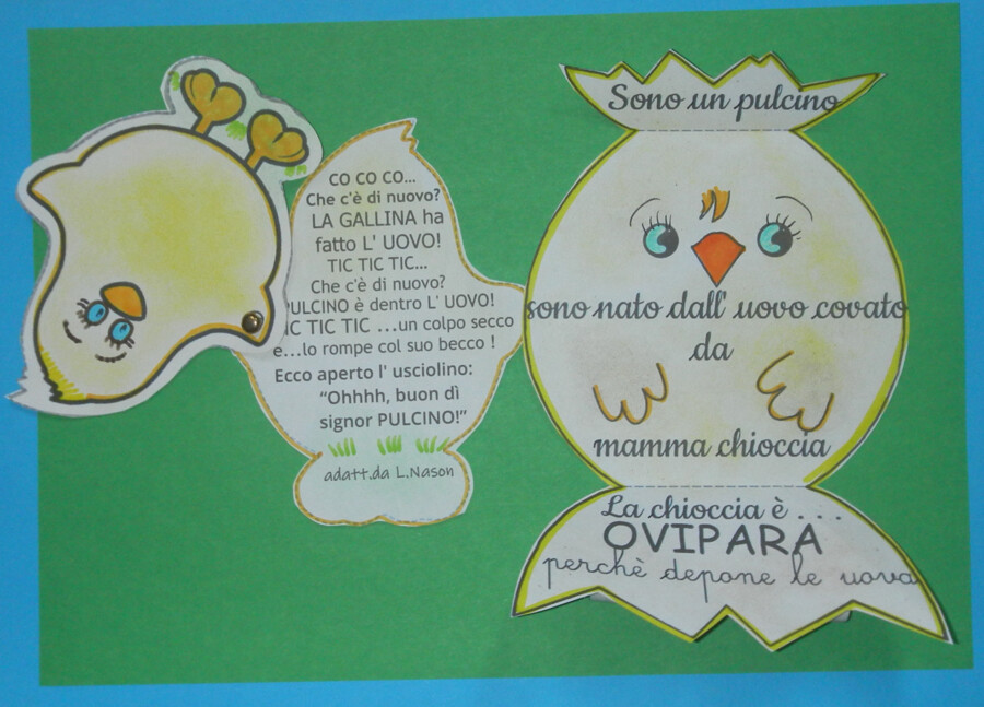 Gli Ovipari interattivi