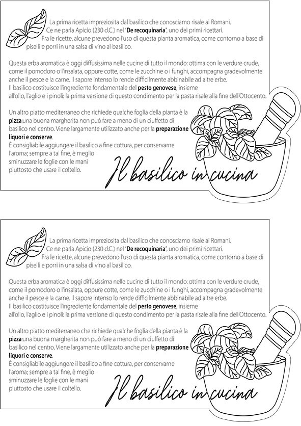 “SuperERBE. Aromi verticali” Estratto STUDIO 8 PIANTE AROMATICHE
