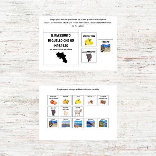 Lapbook Campania classe quinta