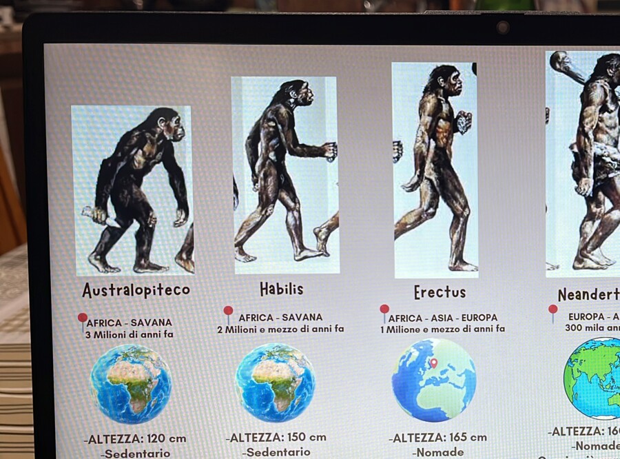 Gli ominidi (schema/lapbook)