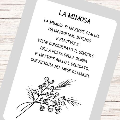 Schede didattiche Festa della Donna classe prima e seconda