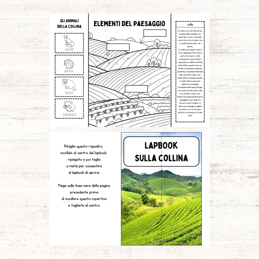 Lapbook sulla collina