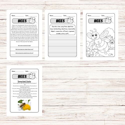 Lettura e comprensione in inglese – Bees