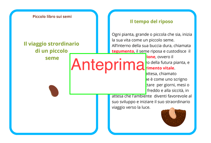 Il risveglio di un seme - Carte scientifiche Montessori e piccolo libro- classi 1-5