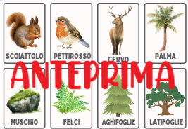 Flashcards animali e ambienti/ecosistemi