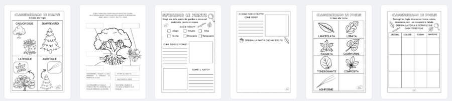 Kit di Schede Didattiche sulle Piante per la Scuola Primaria: Attività Educative e Giochi per Imparare