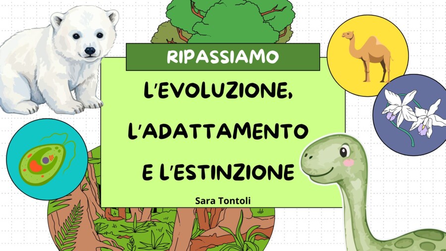 PROGRAMMA COMPLETO di scienze - terza elementare