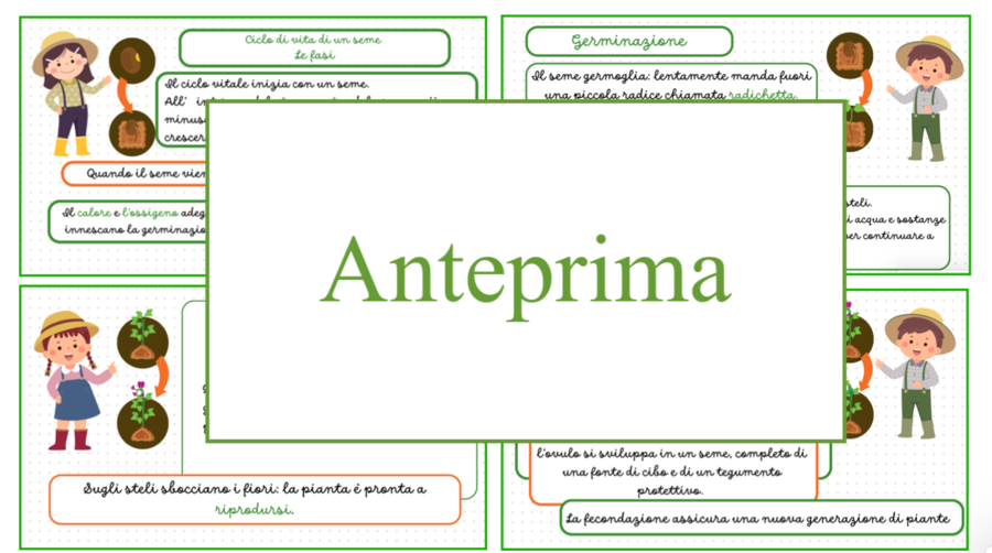 Diario di un seme; carte, letture e attività concrete; classi 2/5