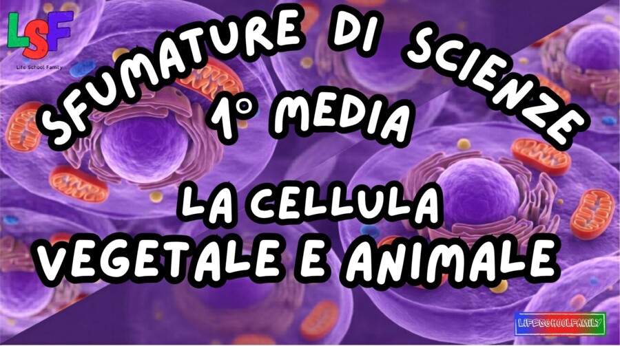 Cellula vegetale e Animale_KIT MULTIMODALE SCIENZE 1°media_slide+ infografica+ mappa mentale+ disegno da colorare+VERIFICA LE COMPETENZE+OMAGGIO:VIDEO&PODCAST