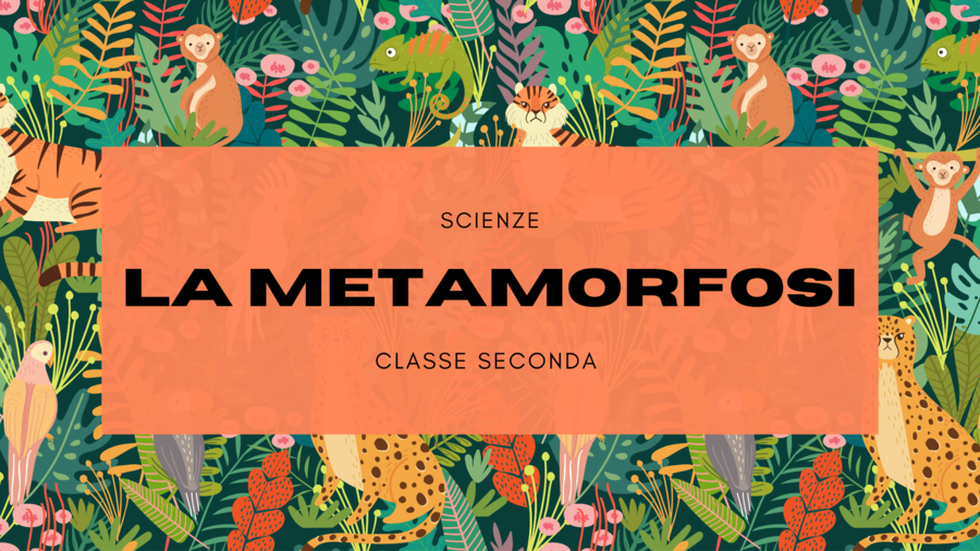 La metamorfosi