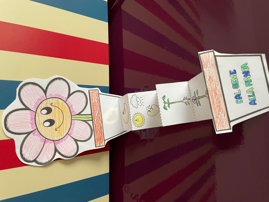 Dal seme alla pianta - lapbook