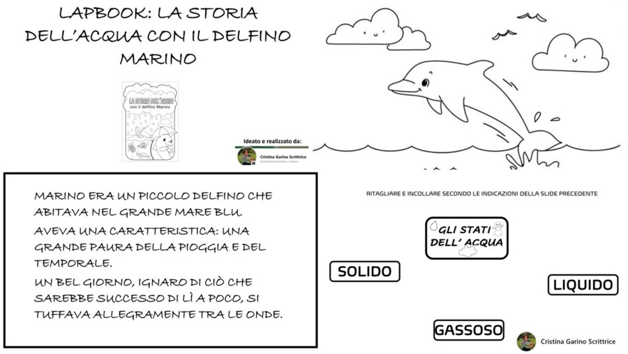 LAPBOOK SULL'ACQUA IN COMPAGNIA DEL DELFINO MARINO