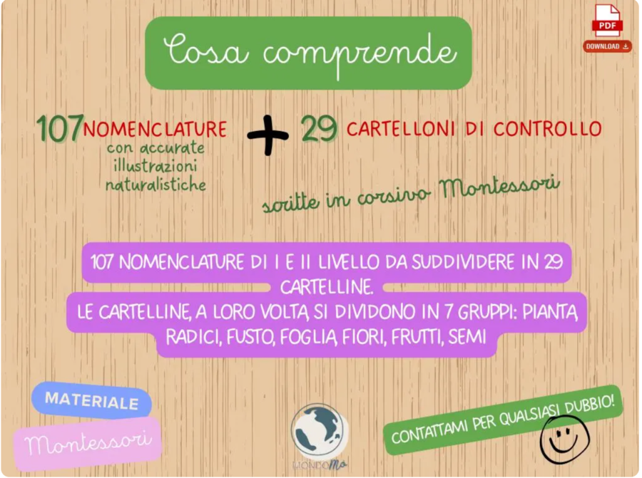 Botanica Montessori | 107 Nomenclature + 29 Cartelloni di Controllo PDF | Botany Nomenclature| pianta radici fusto foglia frutto semi